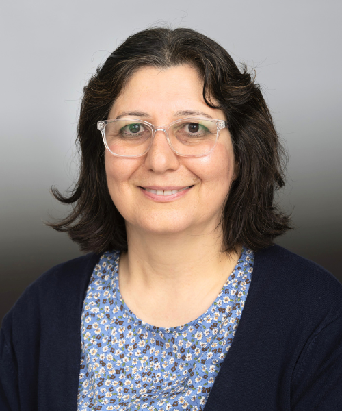 Shahnaz mansouri